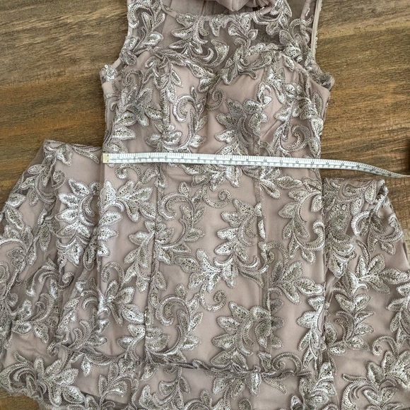 Alex Evenings Champagne Embroidered Tulle Gown - Picture 6 of 10